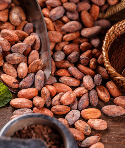 wenrex-cocoa-beans-img1