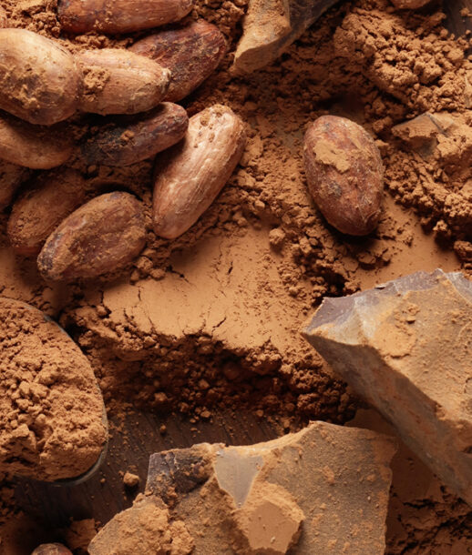 wenrex-cocoa-mass-img1