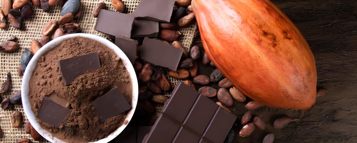 How to Determine the Quality of Cocoa Powder?