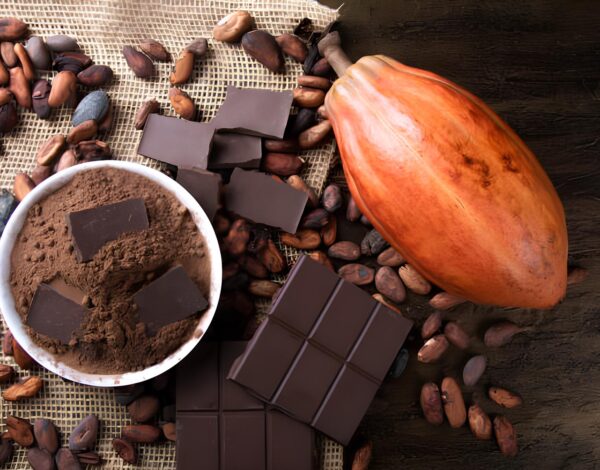 How to Determine the Quality of Cocoa Powder?