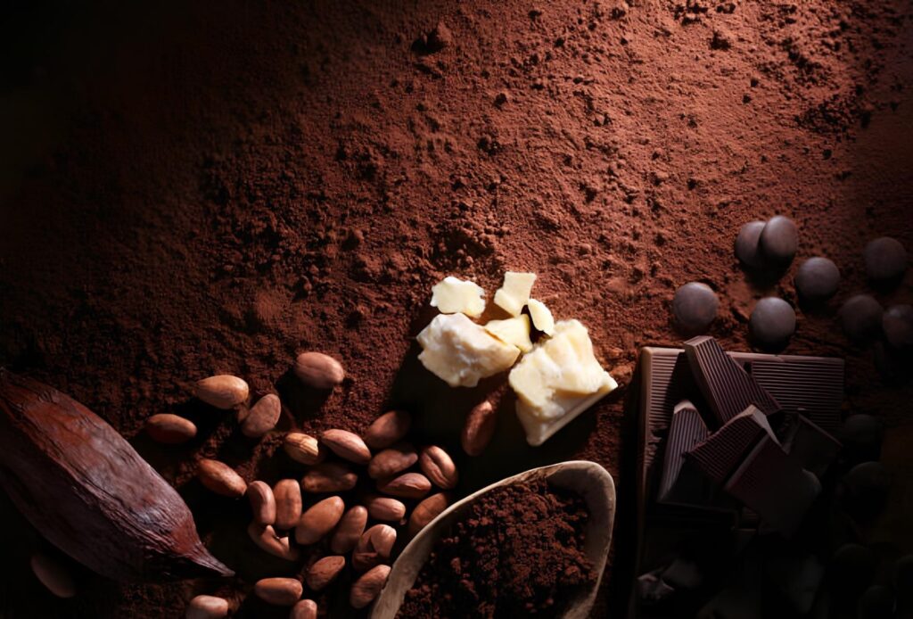 How to Determine the Quality of Cocoa Powder?