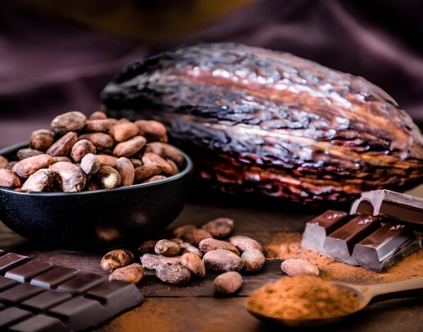 how to select quality cocoa beans