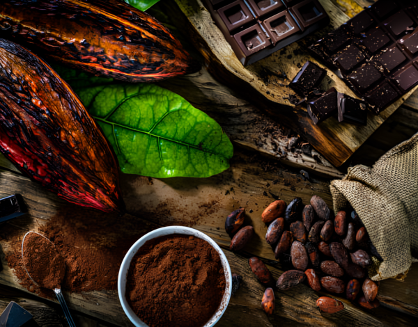 What You Need to Know About Cocoa Beans