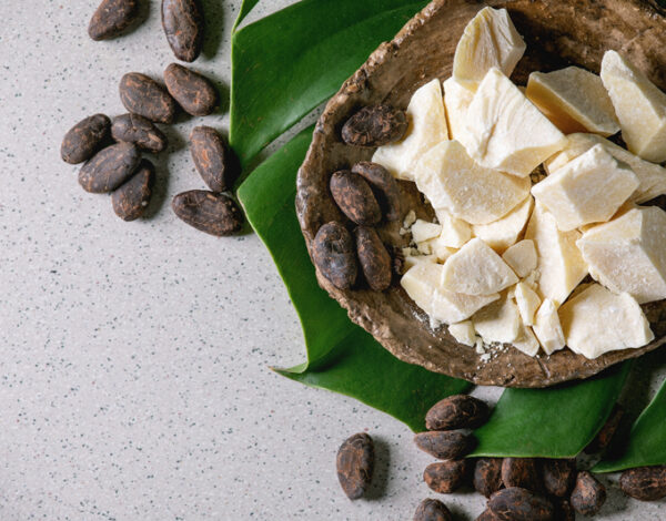 What You Need to Know About Sourcing Cocoa Butter