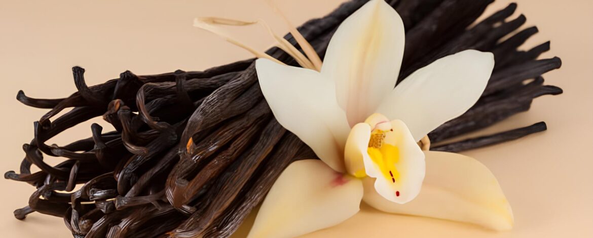 Where Does Vanilla Flavoring Come From?