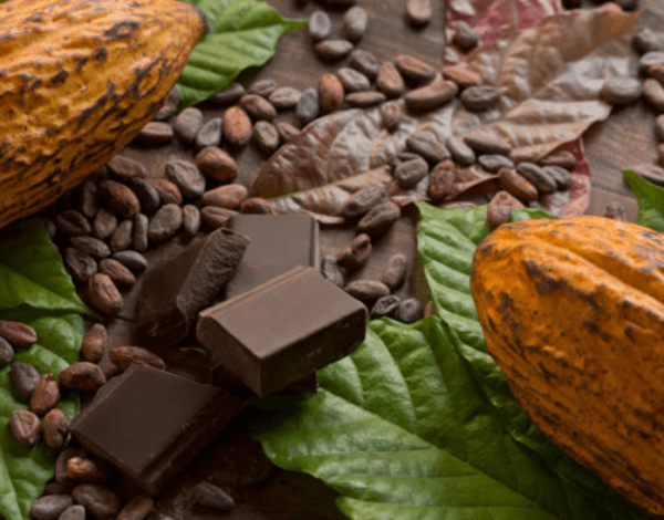 How to Choose High-Quality Cocoa Mass?