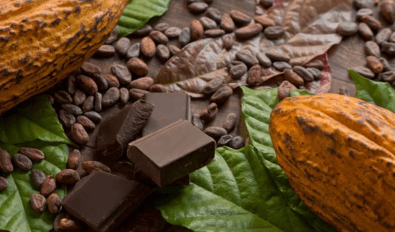 How to Choose High-Quality Cocoa Mass?