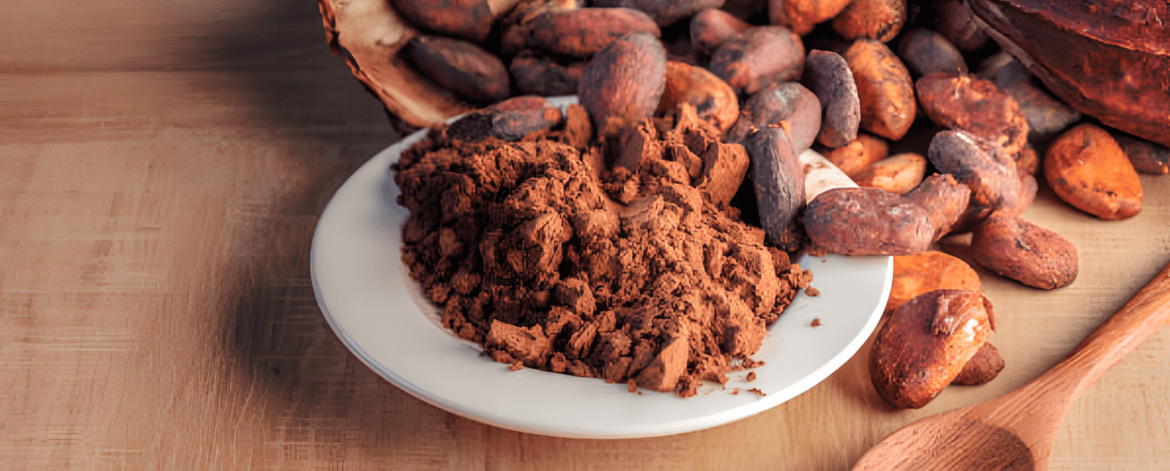 why-is-sustainable-cocoa-farming-important