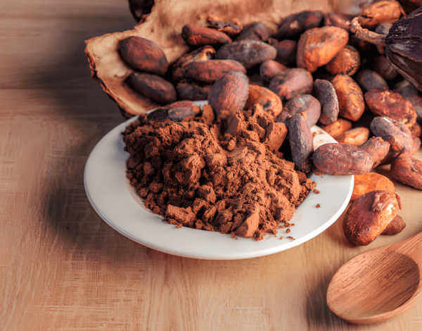 why-is-sustainable-cocoa-farming-important